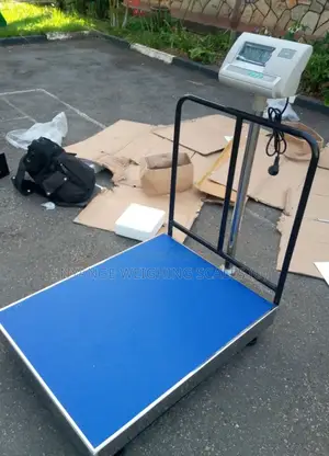 Stainless Electronic Weigh 500kg Weighing Scale Digital Weighing Scale