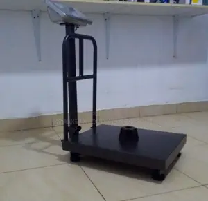 TCS03 Industry Platform Weighing Scales 350kg in Kampala
