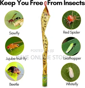 Green Killer Fly Catch Trap