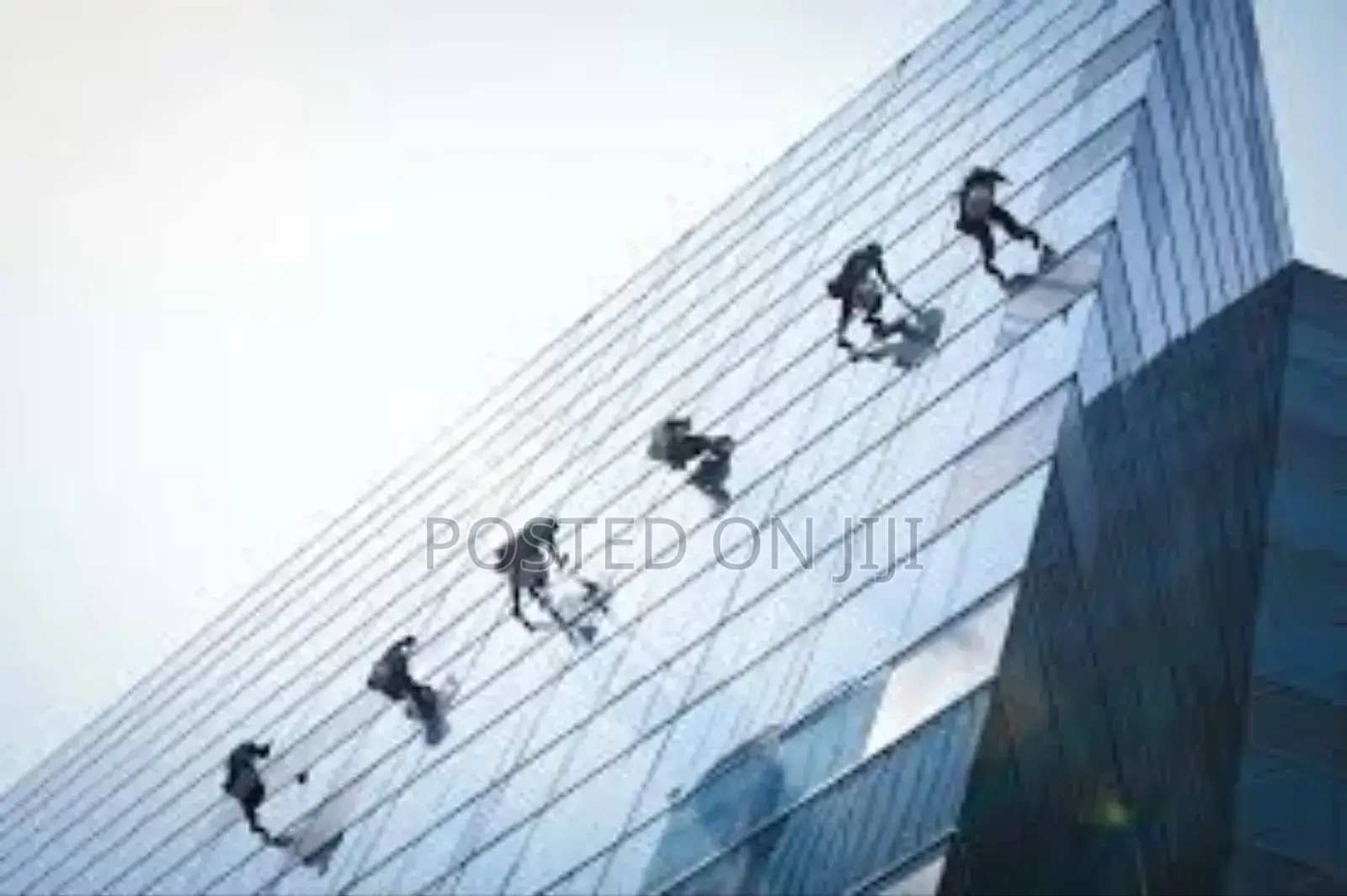 Window Cleaning Services
