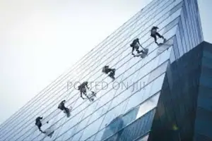 Window Cleaning Services