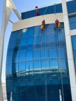 Window Cleaning Services