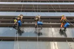 Window Cleaning Services