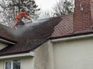 Roof Cleaning Services