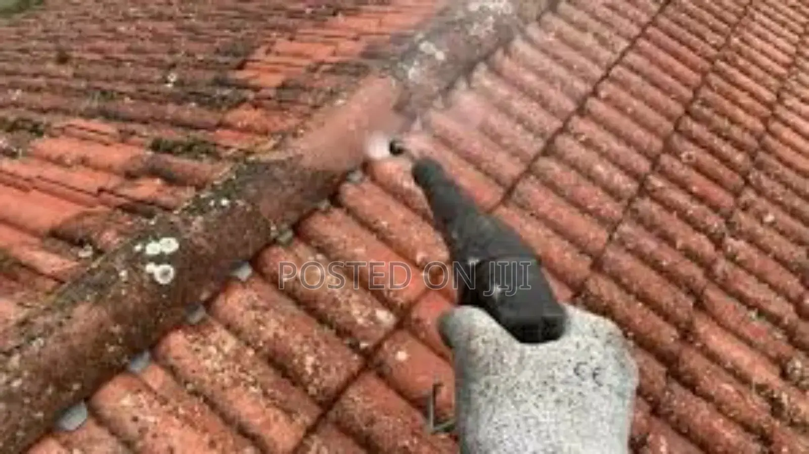 Roof Tile Cleaning Services