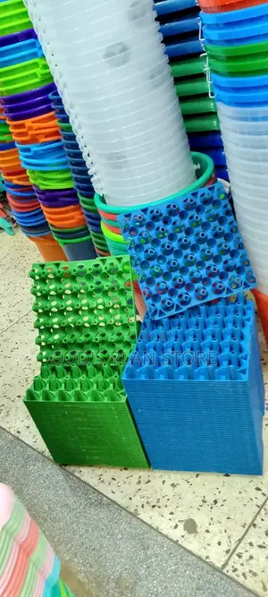 Plastic Eggs Trays 100pcs