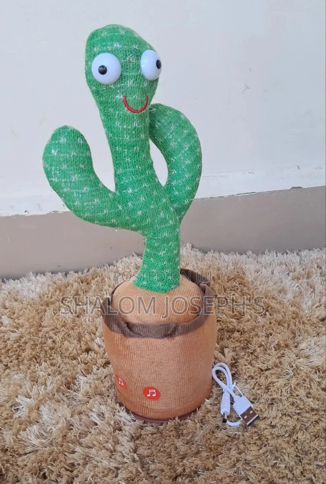 Rechargeable Dancing Cactus