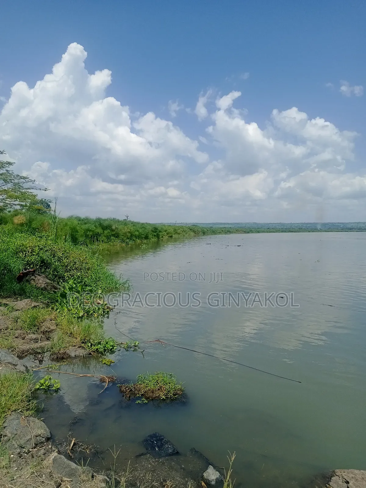 Farmland in Nwoya for Sale