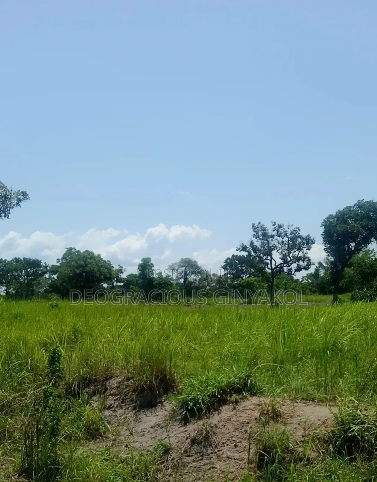 Farmland in Nwoya for Sale