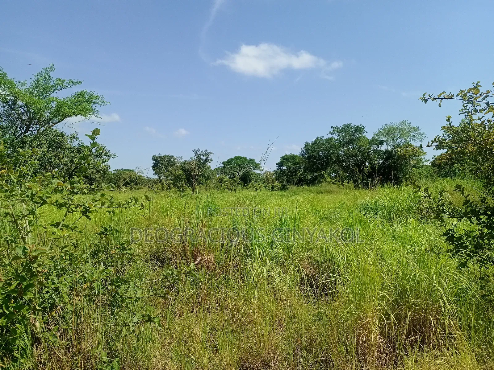 Farmland in Nwoya for Sale