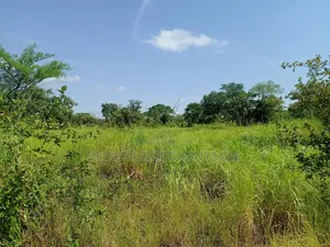 Farmland in Nwoya for Sale