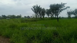 Farmland in Nwoya for Sale