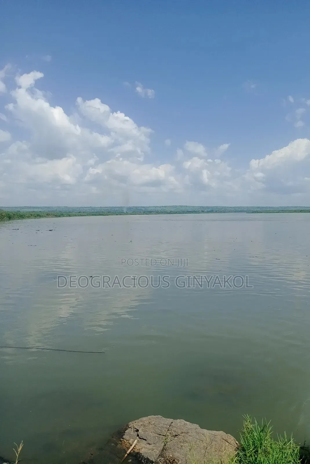 Farmland in Nwoya for Sale