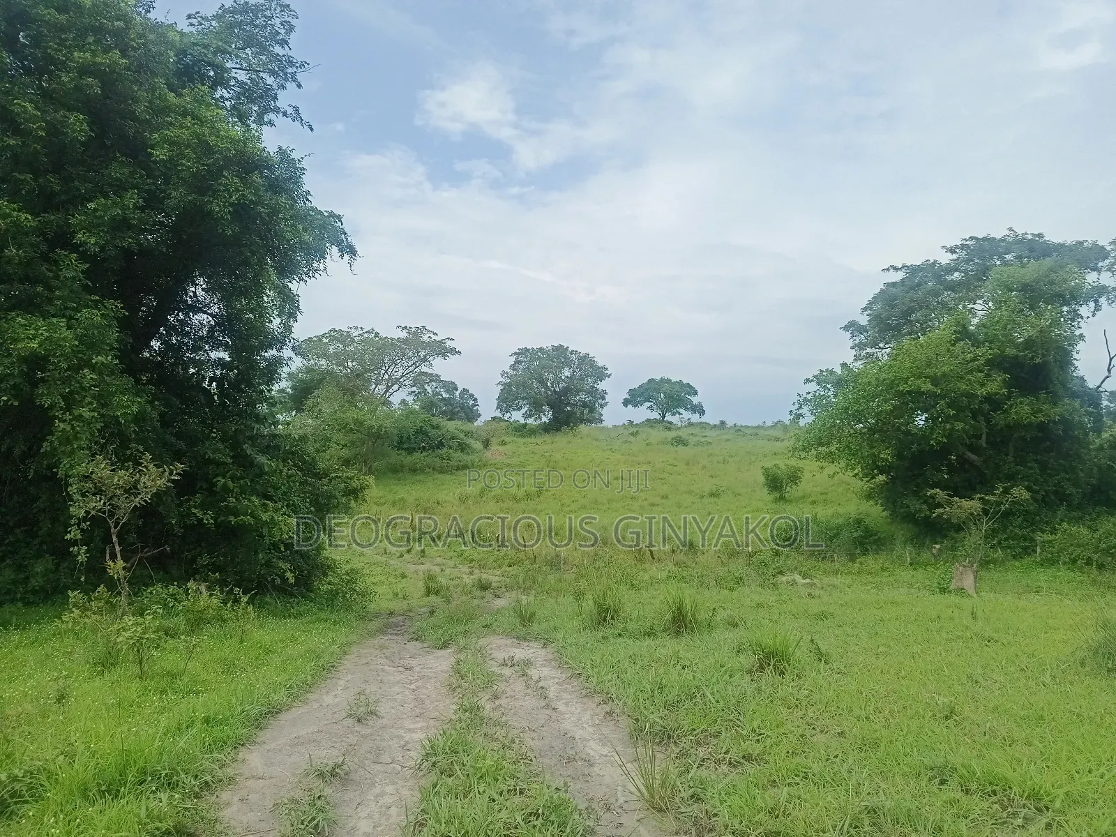 Farmland in Nwoya for Sale
