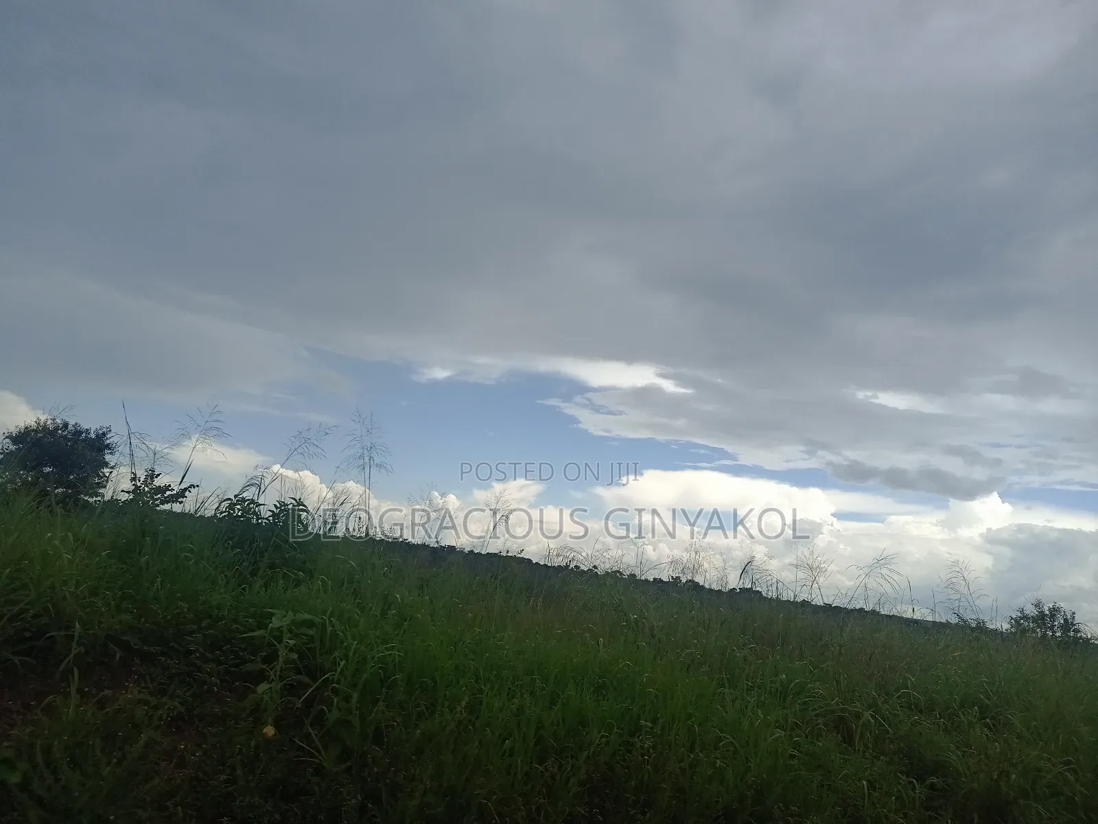 Farmland in Nwoya for Sale