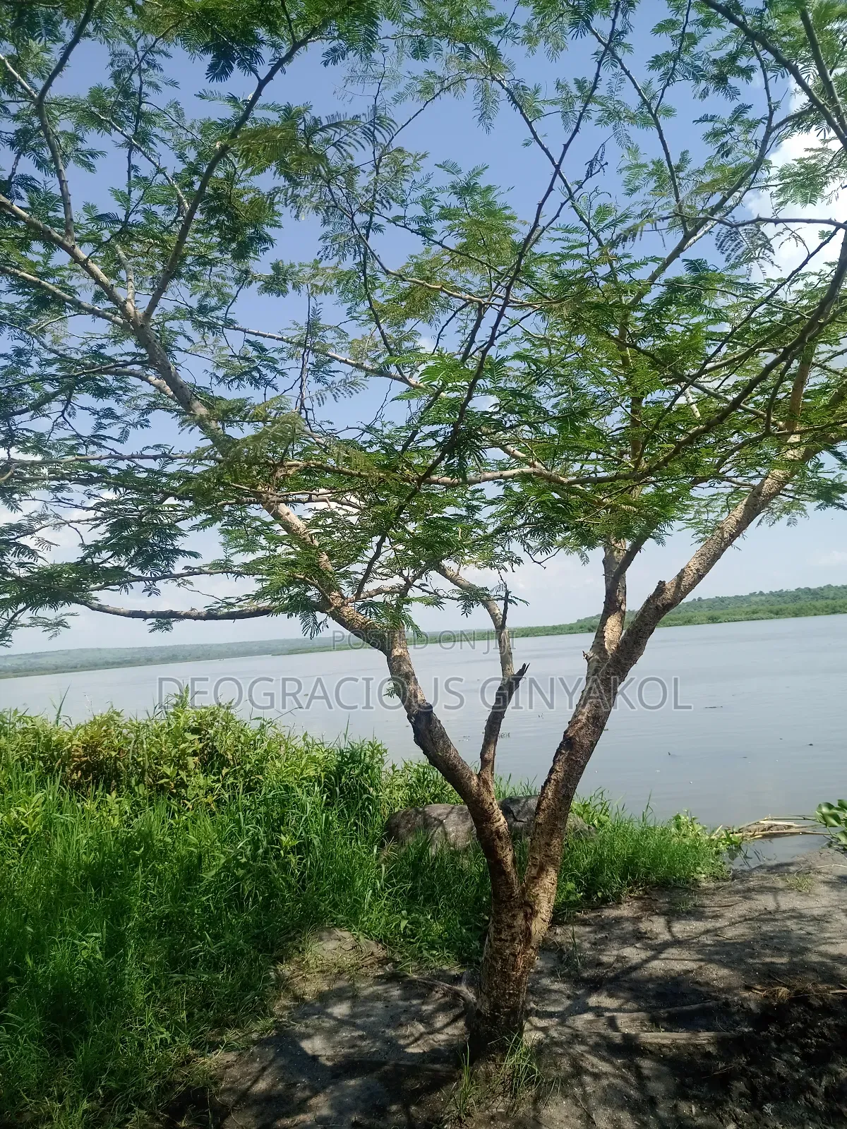 Farmland in Nwoya for Sale