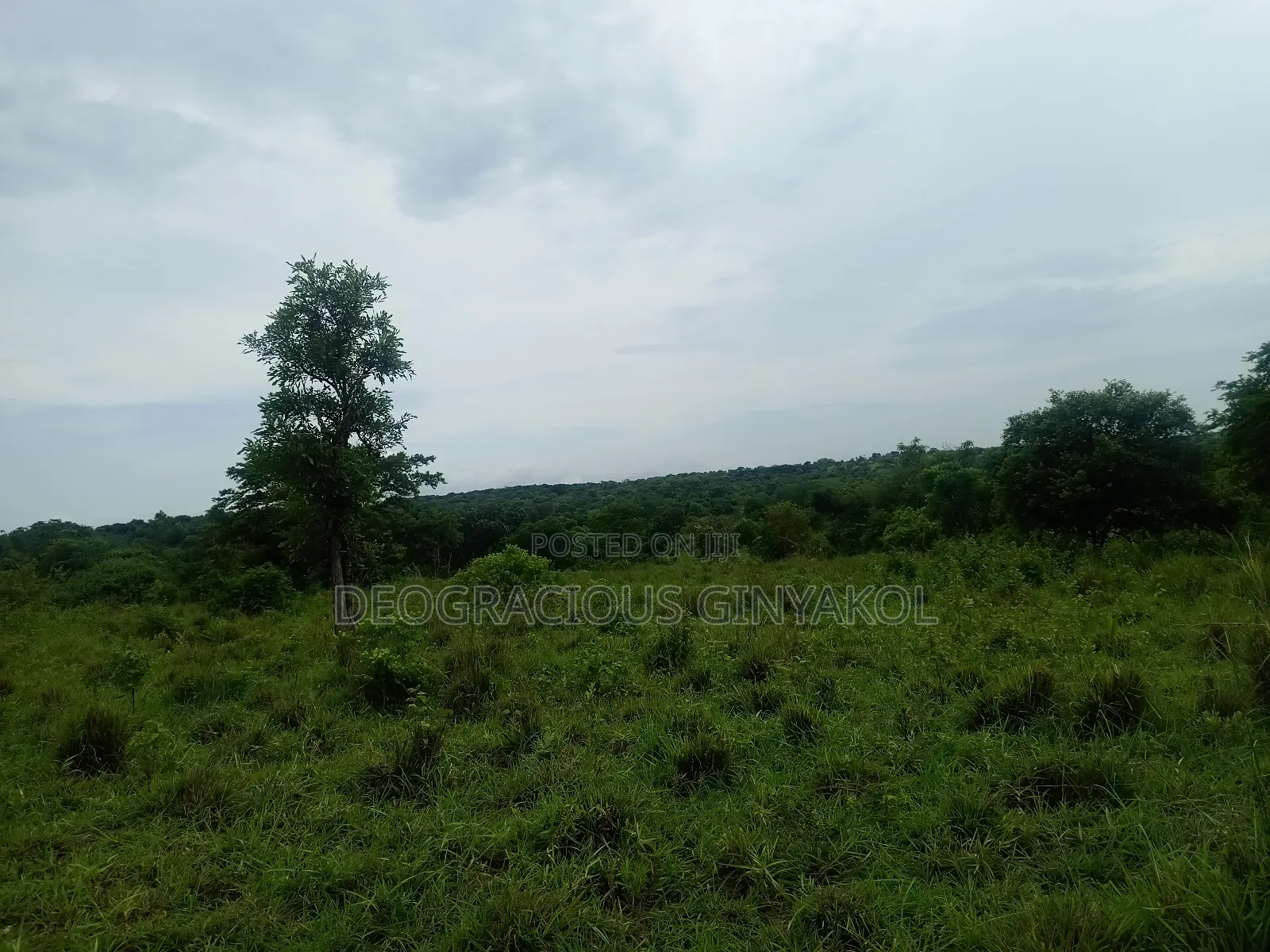 Agriculture Farmland for Sale in Northern Uganda