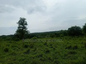 Agriculture Farmland for Sale in Northern Uganda