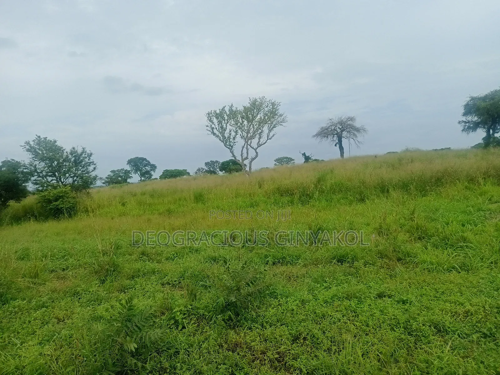 Agriculture Farmland for Sale in Northern Uganda