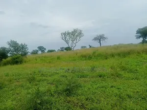 Agriculture Farmland for Sale in Northern Uganda