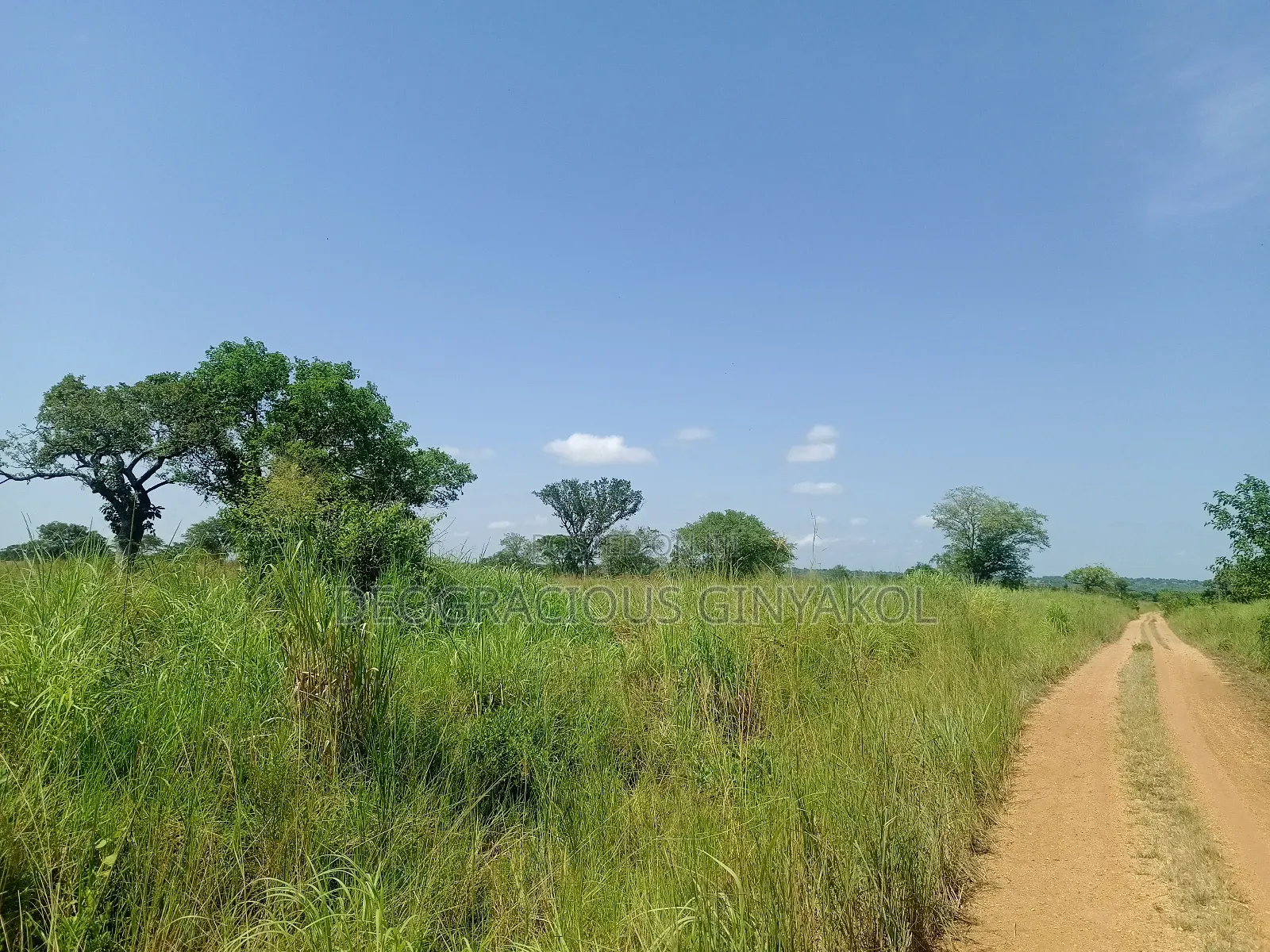 Agriculture Farmland for Sale in Northern Uganda