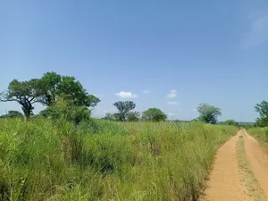 Agriculture Farmland for Sale in Northern Uganda