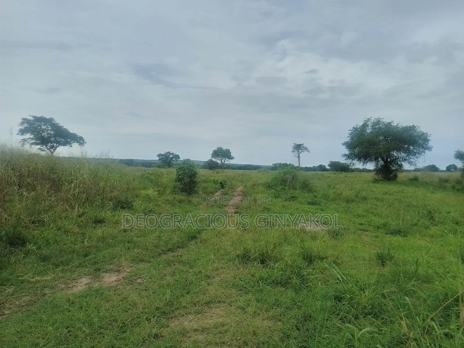 Agriculture Farmland for Sale in Northern Uganda