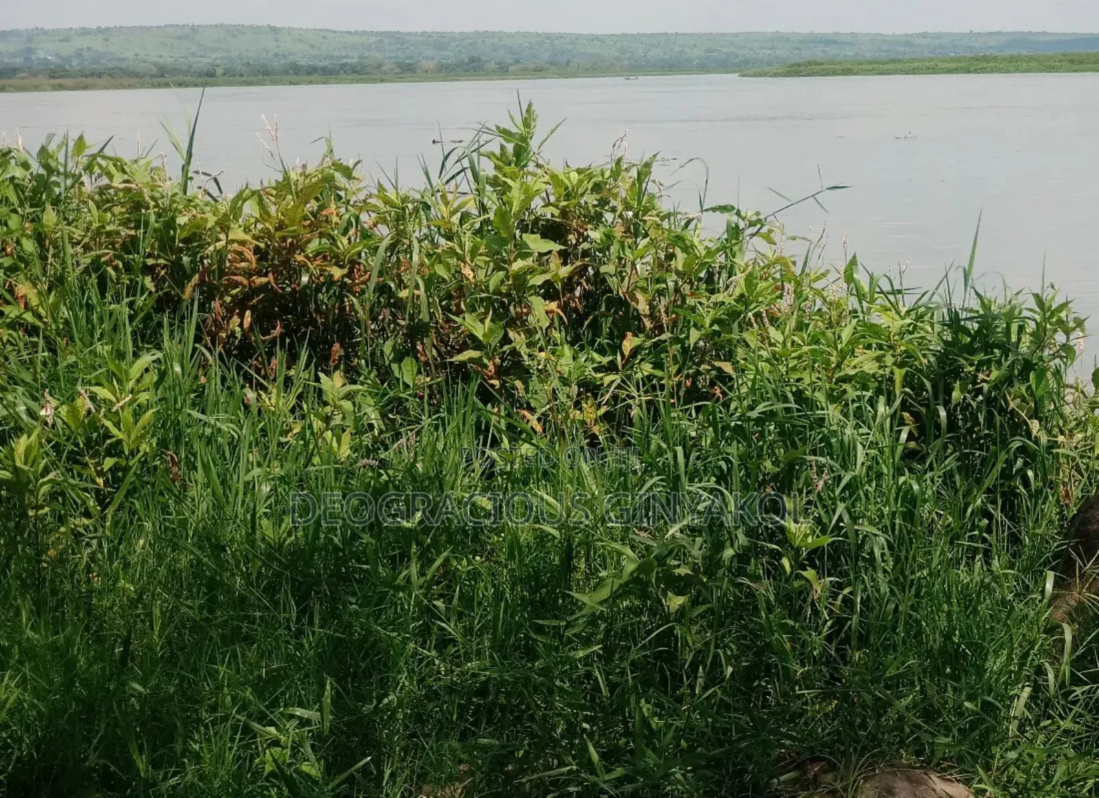 Agriculture Farmland for Sale in Northern Uganda
