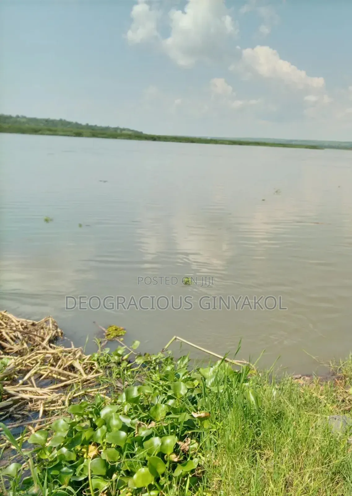 Agriculture Farmland for Sale in Northern Uganda
