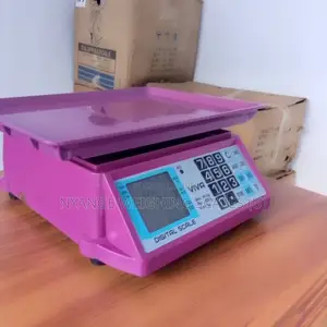 Commercial Kitchen Weighing Scale Table Top Weighing Scales 40kg