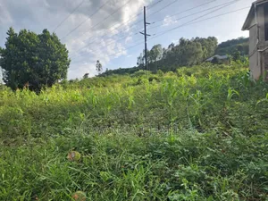 Plot for Sale in Buwaate