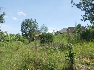 Plot's for Sale in Wakiso