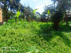 Plot for Sale in Wakiso Muyomba