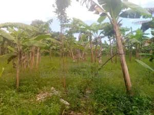 Land for Sale in Kikyusa