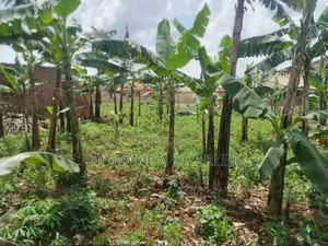 Plot for Sale in Gayaza Kabubbu
