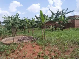 Plot for Sale in Gayaza Kabubbu