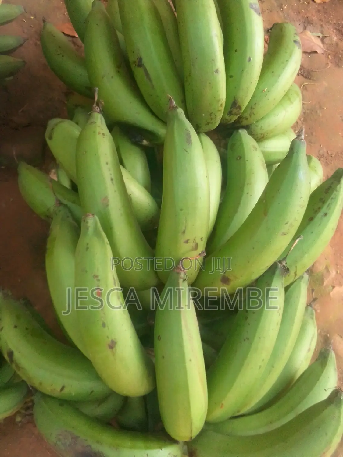 Fresh Matoke
