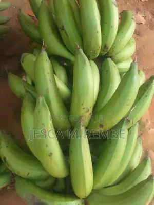 Fresh Matoke