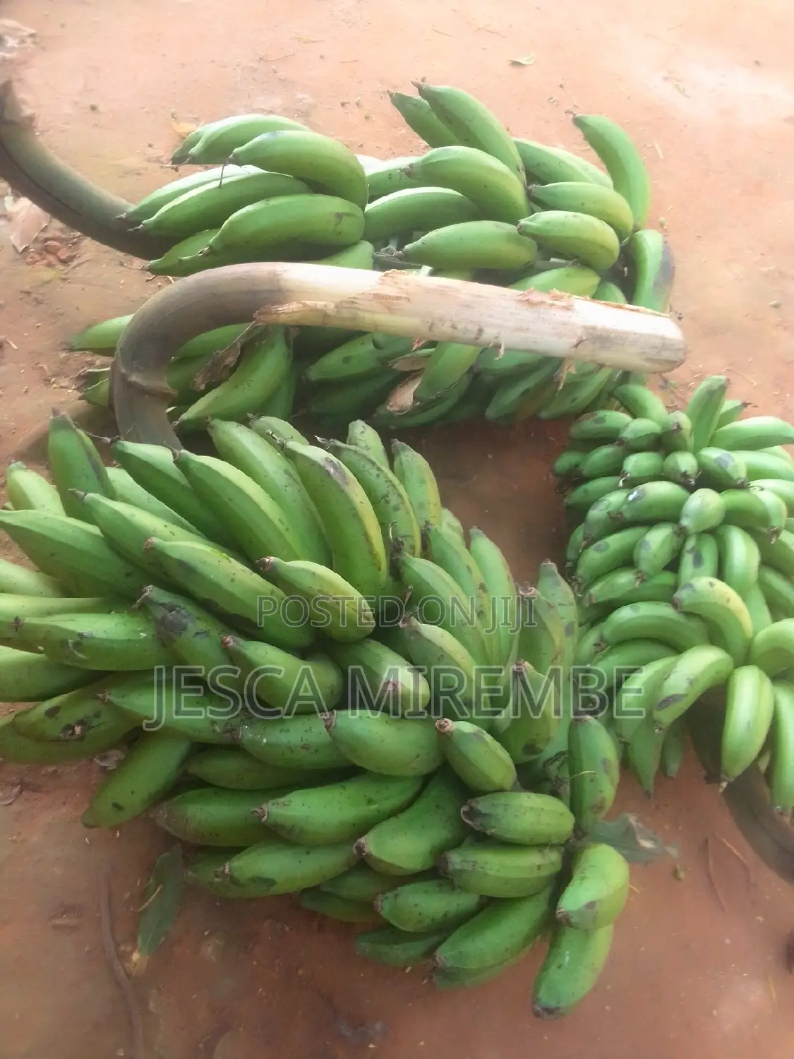 Fresh Matoke