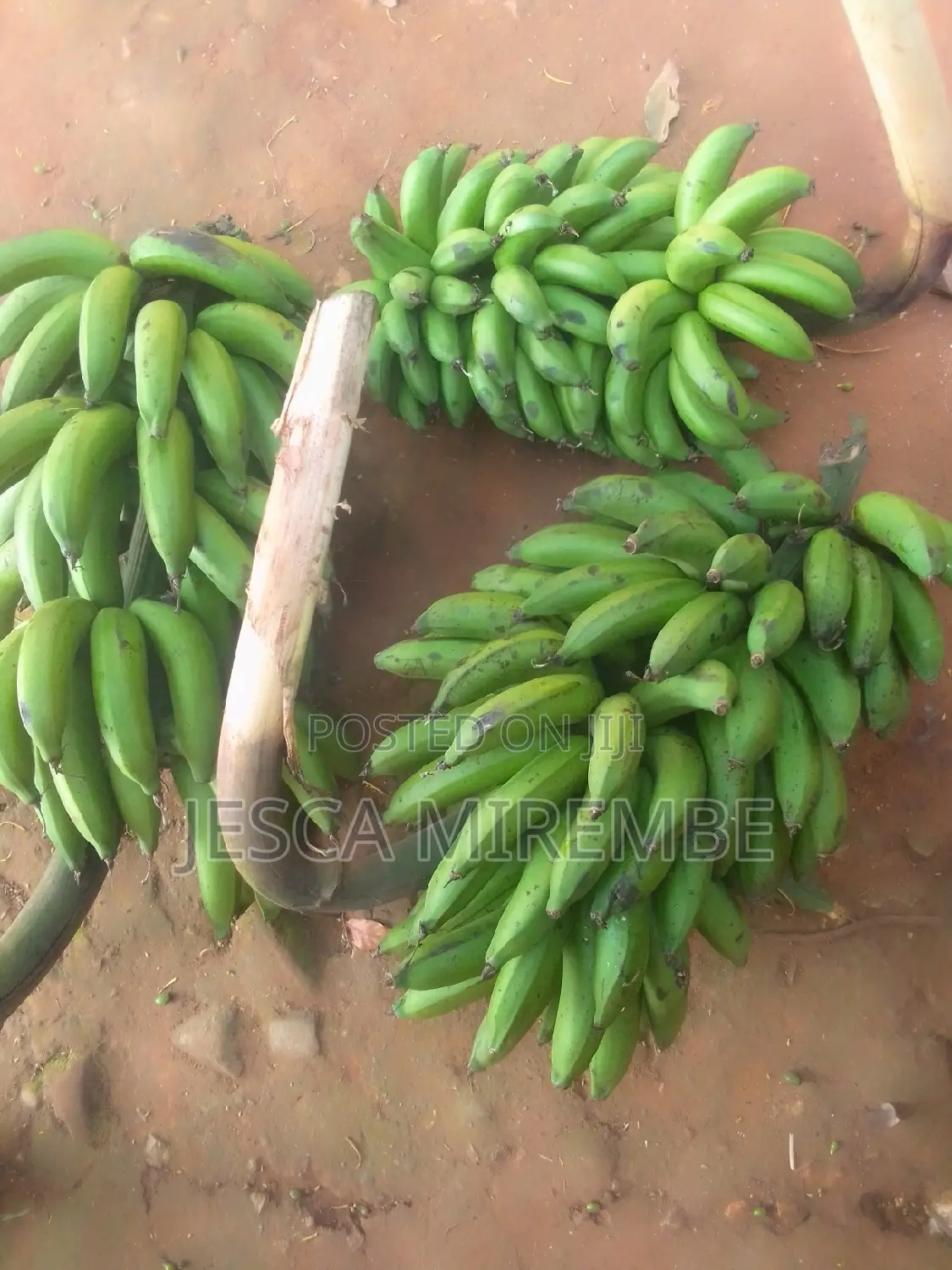 Fresh Matoke