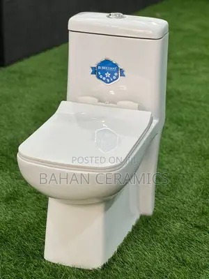 Executive Combined Toilet Seats