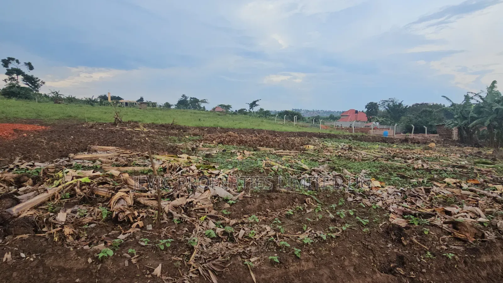Plots for Sale at Kakiri -Kikugi Town.
