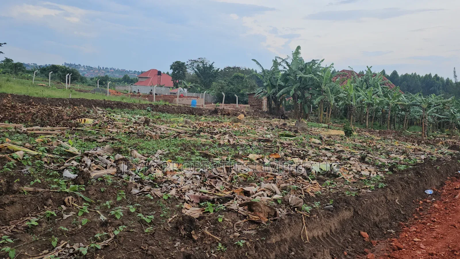 Hot Titled Plots for Sale Kakiri Town