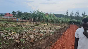 Hot Titled Plots for Sale Kakiri Town