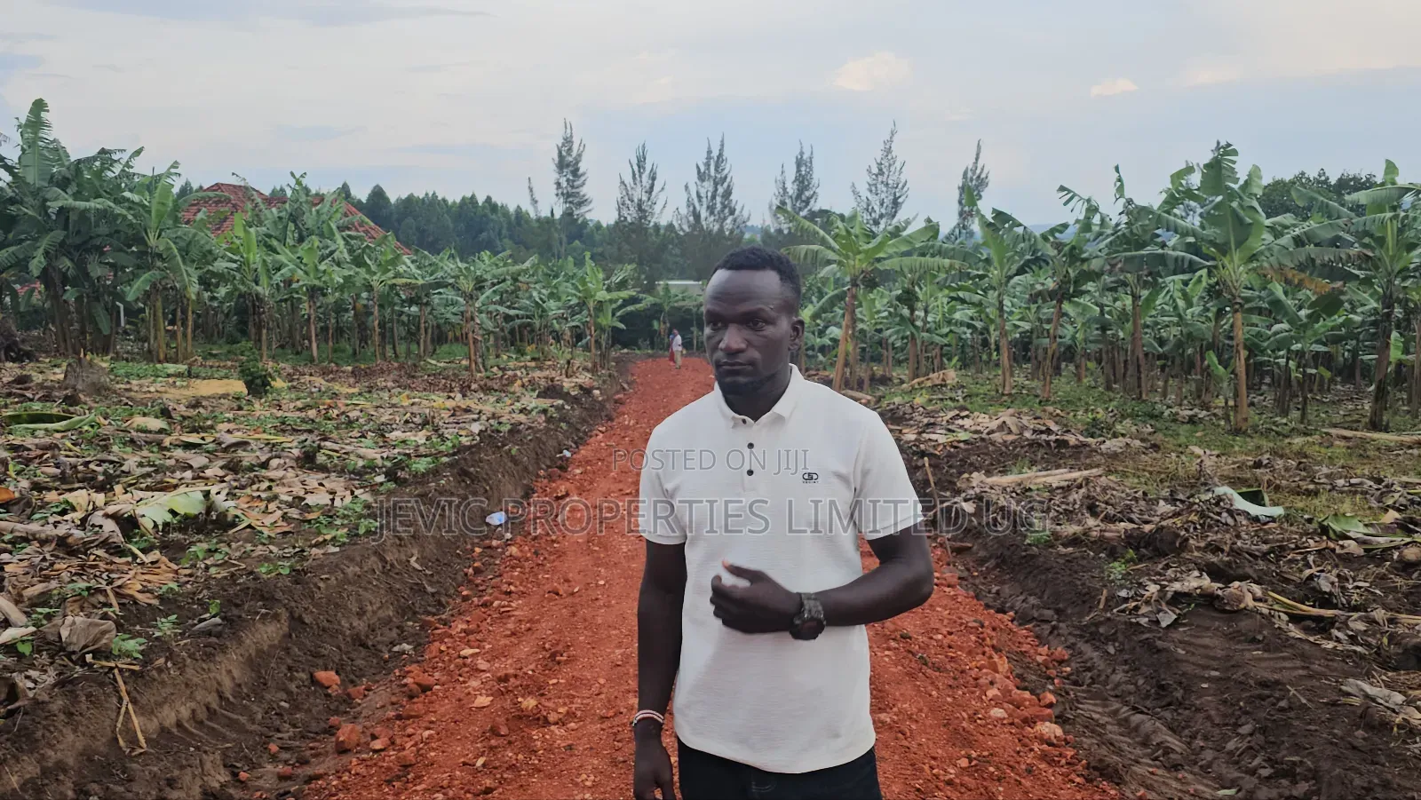 Hot Titled Plots for Sale Kakiri Town