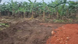 Hot Titled Plots for Sale Kakiri Town