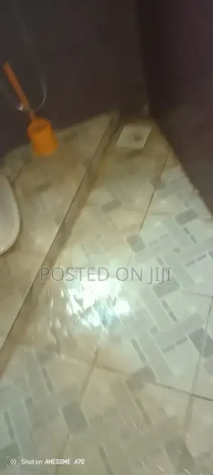 Toilet Cleaning Services
