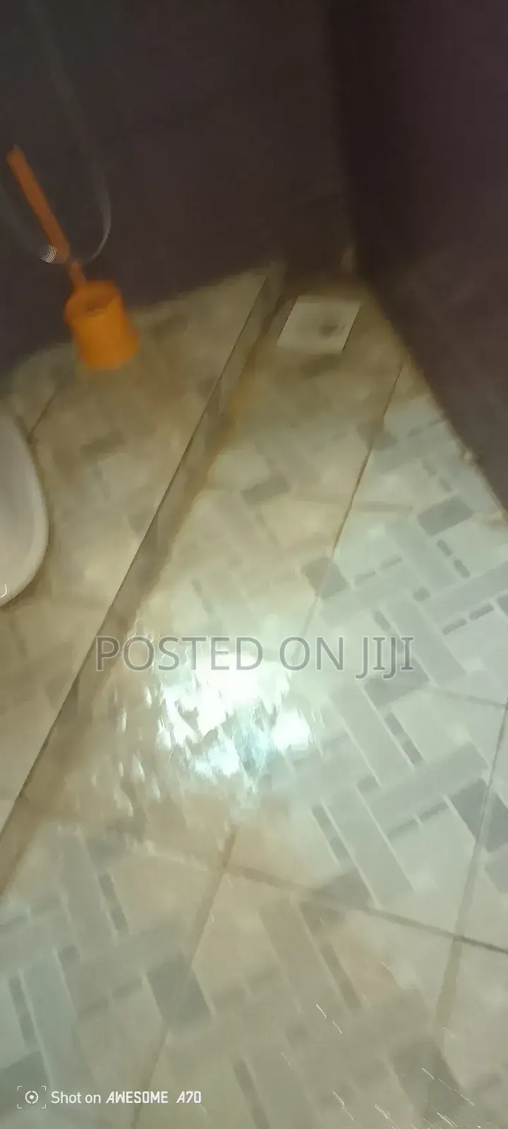 Toilet Cleaning Services