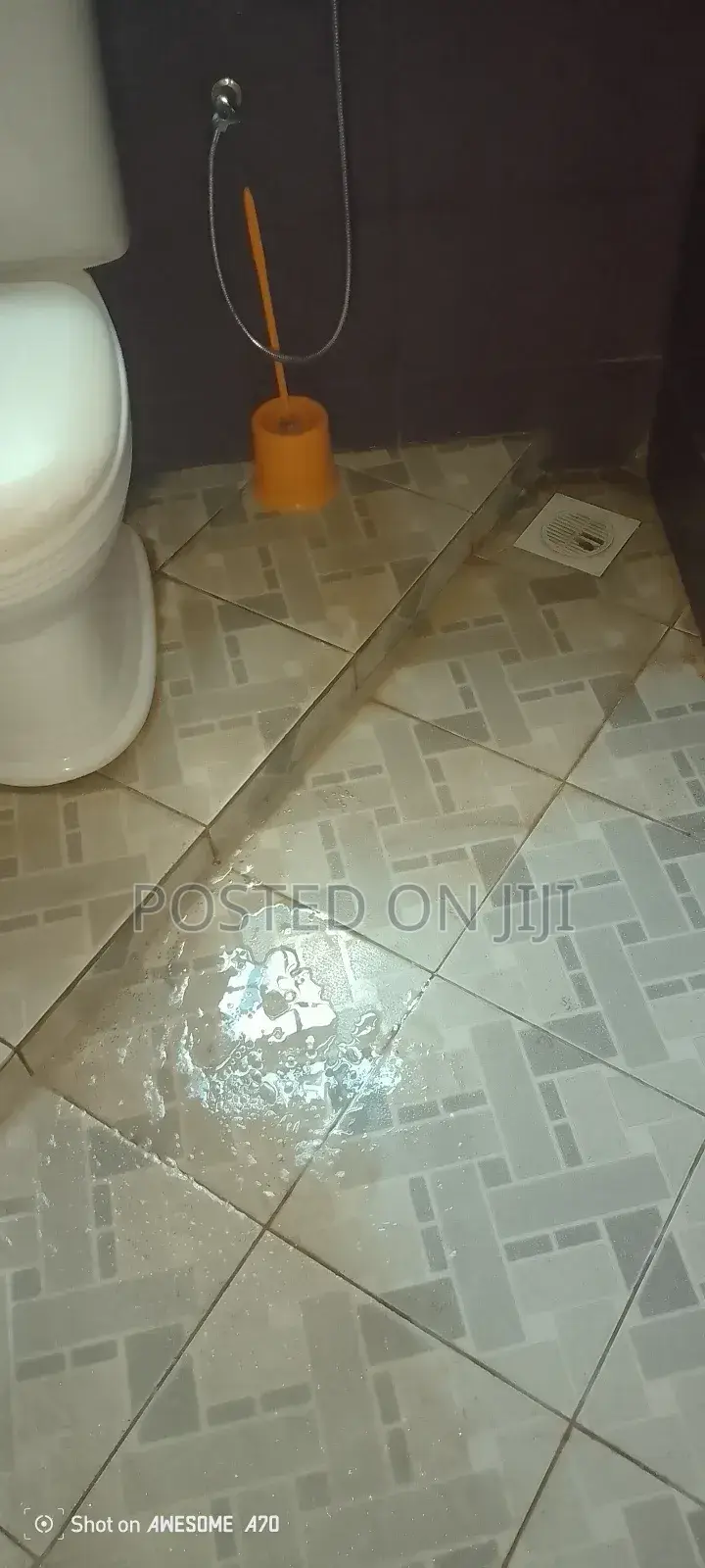 Toilet Cleaning Services