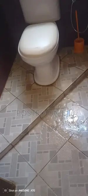 Toilet Cleaning Services